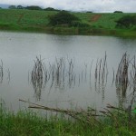 Visita al terreno donde se proyecta construcción de relleno sanitario