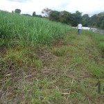 Visita al terreno donde se proyecta construcción de relleno sanitario