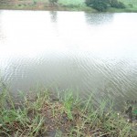 Visita al terreno donde se proyecta construcción de relleno sanitario