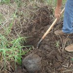 Visita al terreno donde se proyecta construcción de relleno sanitario