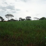 Visita al terreno donde se proyecta construcción de relleno sanitario