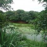 Visita al terreno donde se proyecta construcción de relleno sanitario