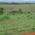 Visita al terreno donde se proyecta construcción de relleno sanitario