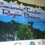 Lanzamiento del Consorcio Agroindustrial Brunca