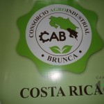 Lanzamiento del Consorcio Agroindustrial Brunca