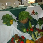 Lanzamiento del Consorcio Agroindustrial Brunca