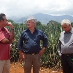 Visita de terreno de futura Unidad de Patología de la Región Brunca