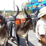 Desfile Transporte de los Años 40