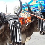 Desfile Transporte de los Años 40