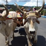 Desfile Transporte de los Años 40