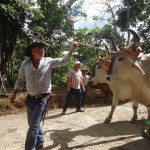 Población disfrutó del maíz en Feria en Mollejones