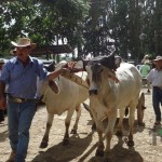 Población disfrutó del maíz en Feria en Mollejones