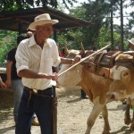 Población disfrutó del maíz en Feria en Mollejones