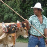 Desfile de Boyeros San Ramón Sur 2014