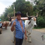 Desfile de Boyeros San Ramón Sur 2014