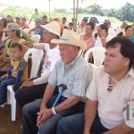 Demostración de una cosechadora mecánica