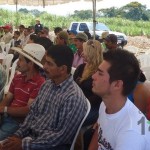 Demostración de una cosechadora mecánica