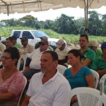 Demostración de una cosechadora mecánica