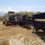 Demostración de una cosechadora mecánica