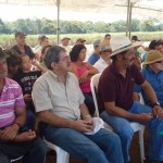 Demostración de una cosechadora mecánica