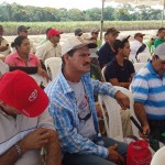 Demostración de una cosechadora mecánica