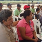 Demostración de una cosechadora mecánica