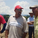 Demostración de una cosechadora mecánica