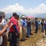 Demostración de una cosechadora mecánica