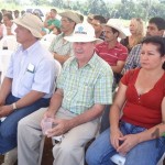 Demostración de una cosechadora mecánica