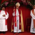 Domingo de Ramos en Pérez Zeledón, 2014