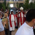 Domingo de Ramos en Pérez Zeledón, 2014