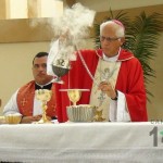 Domingo de Ramos en Pérez Zeledón, 2014