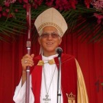 Domingo de Ramos en Pérez Zeledón, 2014