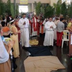 Domingo de Ramos en Pérez Zeledón, 2014