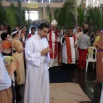 Domingo de Ramos en Pérez Zeledón, 2014