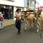 Desfile de Boyeros, San Isidro Labrador 2014