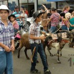 Desfile de Boyeros, San Isidro Labrador 2014