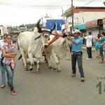 Desfile de Boyeros, San Isidro Labrador 2014