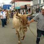 Desfile de Boyeros, San Isidro Labrador 2014