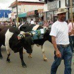 Desfile de Boyeros, San Isidro Labrador 2014