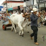 Desfile de Boyeros, San Isidro Labrador 2014