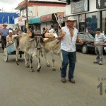 Desfile de Boyeros, San Isidro Labrador 2014