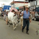 Desfile de Boyeros, San Isidro Labrador 2014