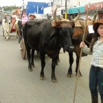 Desfile de Boyeros, San Isidro Labrador 2014