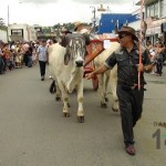 Desfile de Boyeros, San Isidro Labrador 2014