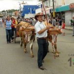 Desfile de Boyeros, San Isidro Labrador 2014