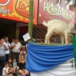 Desfile de Boyeros, San Isidro Labrador 2014