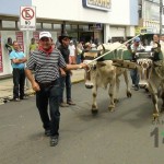 Desfile de Boyeros, San Isidro Labrador 2014