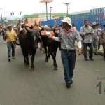 Desfile de Boyeros, San Isidro Labrador 2014