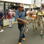 Desfile de Boyeros, San Isidro Labrador 2014